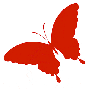 red butterfly